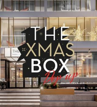 THE XMAS BOX 